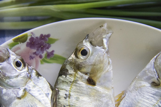 小魚仔