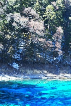 九寨溝