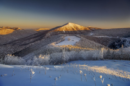 大禿山