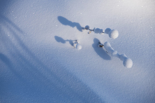 雪韻