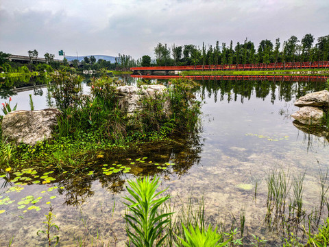 天府綠道環(huán)球中心