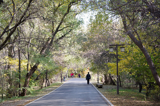 公園秋景