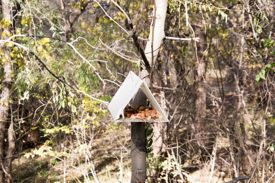 公園動物喂食點