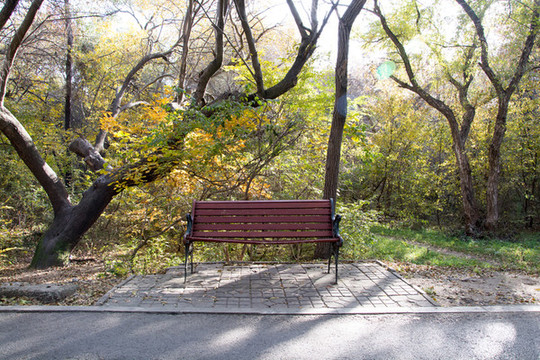 公園秋景