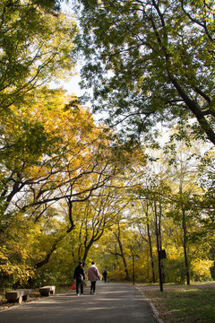 公園秋景