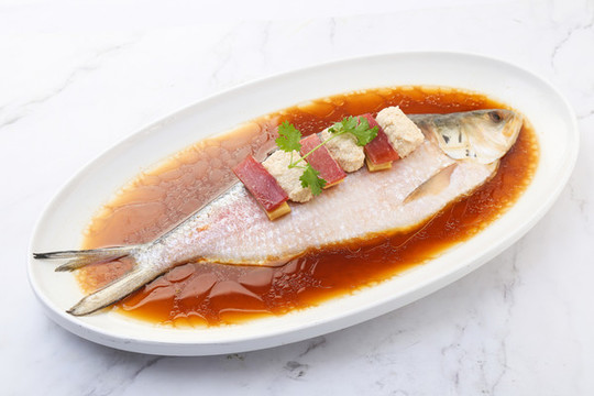 長江鰣魚