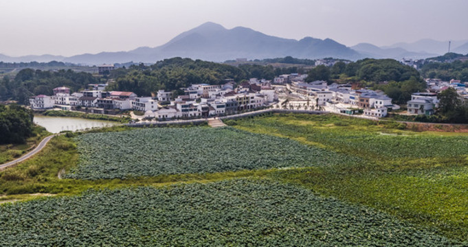 美麗鄉(xiāng)村