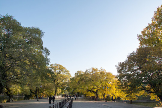 公園秋景