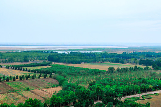 平原農(nóng)業(yè)