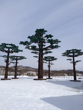 雪地
