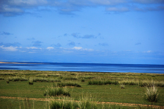 青海湖