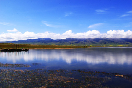 青海湖