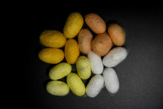 彩色蠶繭