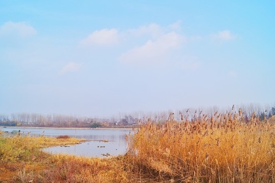 冬季沭河