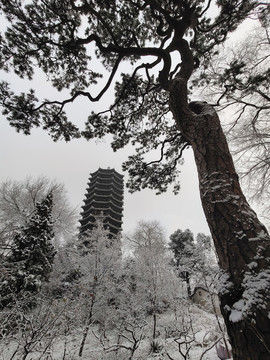 北京大學(xué)博雅塔