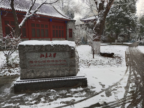 北京大學陳守仁國際研究中心