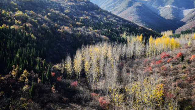 五顏六色的山坡