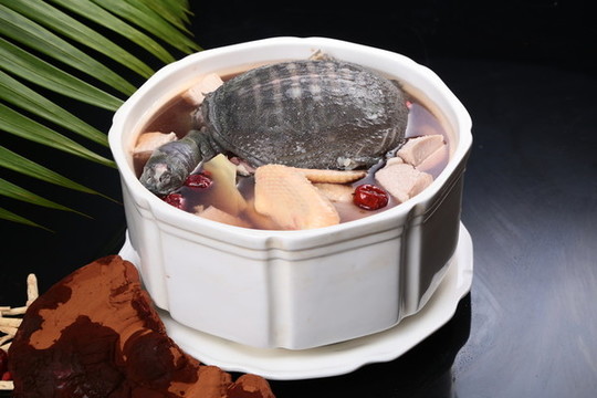 鮮靈芝補(bǔ)血甲魚湯