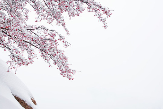 雪