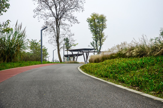 公園小路