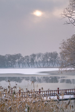 雪景