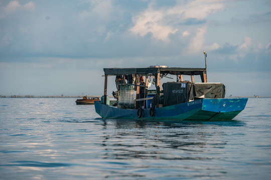 出海捕魚