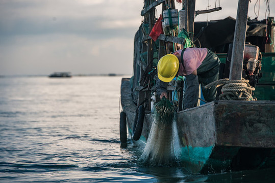 出海捕魚(yú)