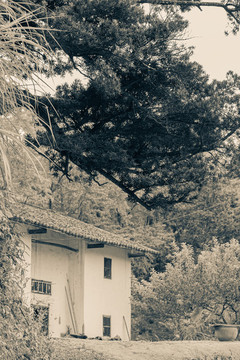 農(nóng)家庭院