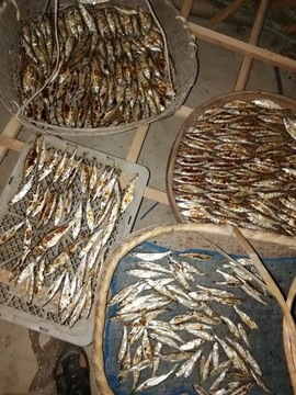 魚干
