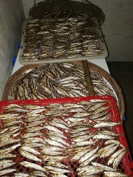 魚干