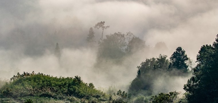 重慶南川云霧繪就山鄉(xiāng)生態(tài)畫