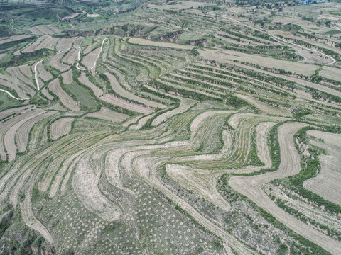 塬上農(nóng)田