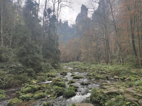 深山溪水