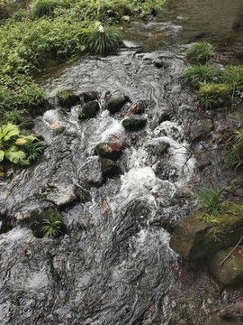 小溪石上流