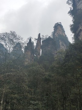 石英砂巖山峰
