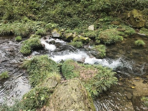 溪水