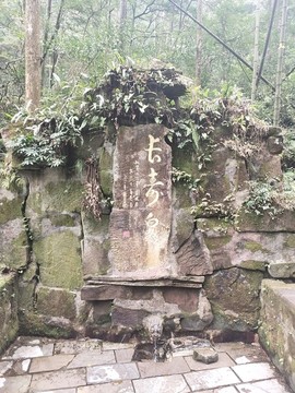 張家界長壽泉