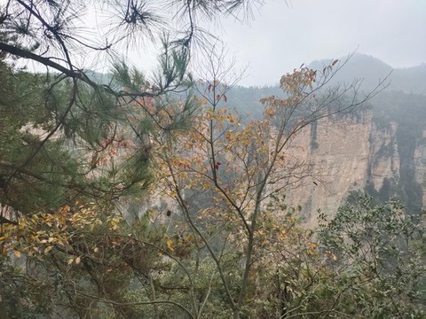 山峰
