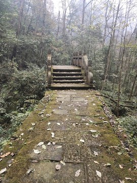 人跡罕至的石拱橋
