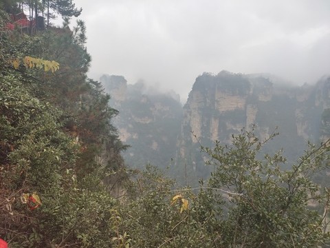 峰林