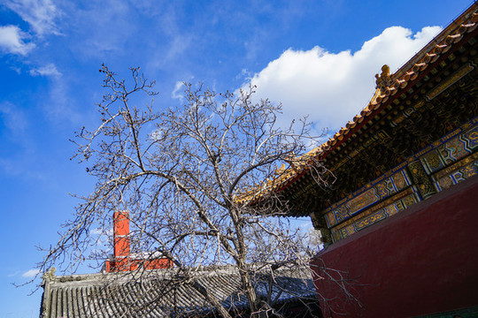 北京雍和宮建筑一角