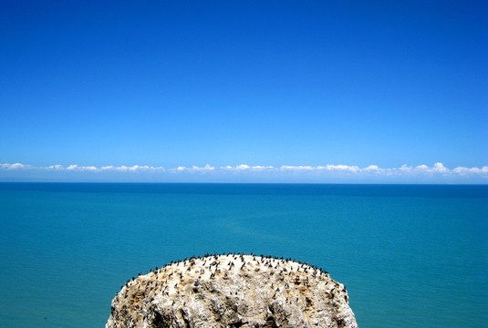 鳥島