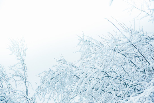 雪山霧凇