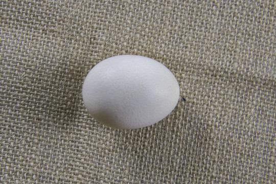 農(nóng)家雞蛋