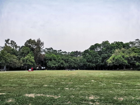 公園一角