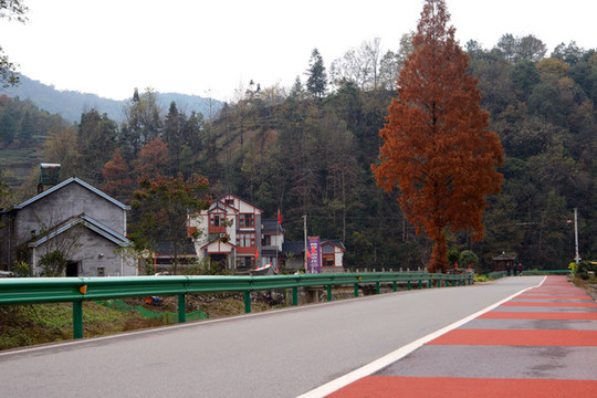 鄉(xiāng)村秋景