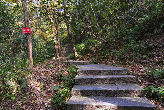 登山道