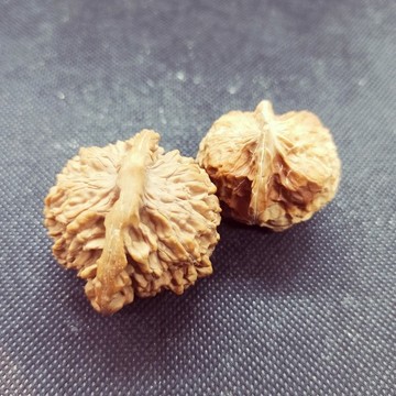 文玩核桃