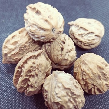 文玩核桃