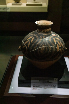 展品
